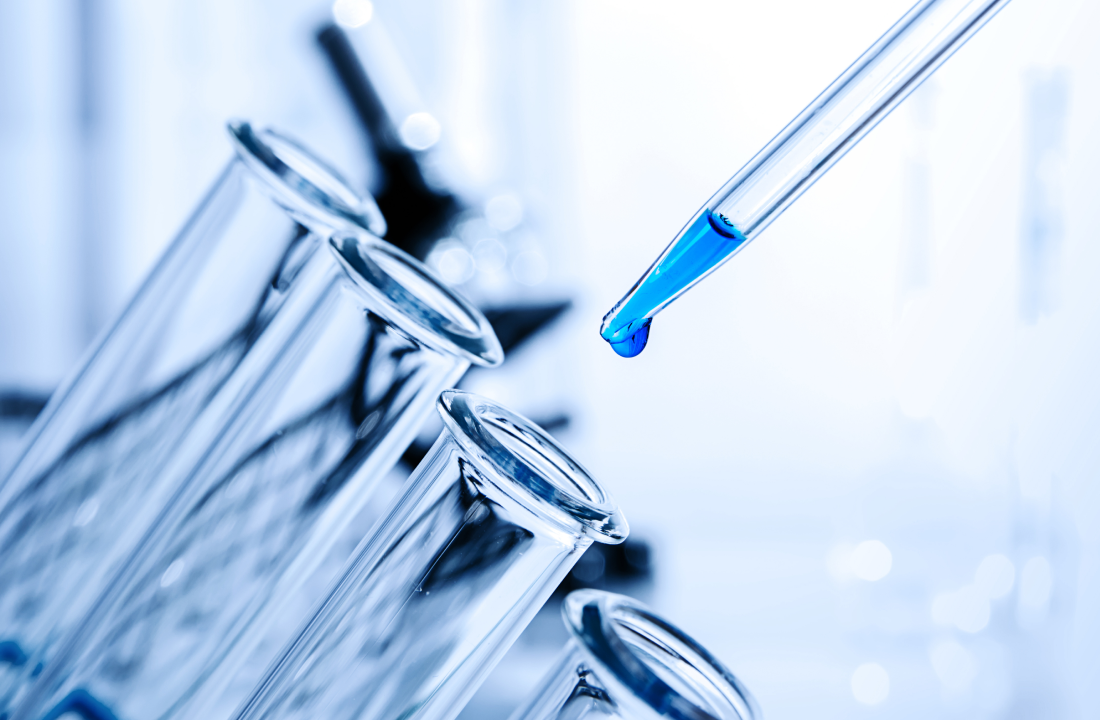 Development & Bioavailability