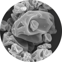 Image of magnified spray dried material