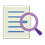Icon of a document with a magnifying glass