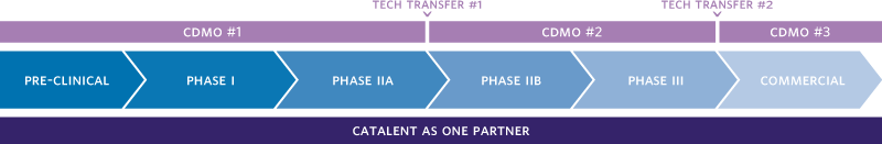 phasechart_800x131