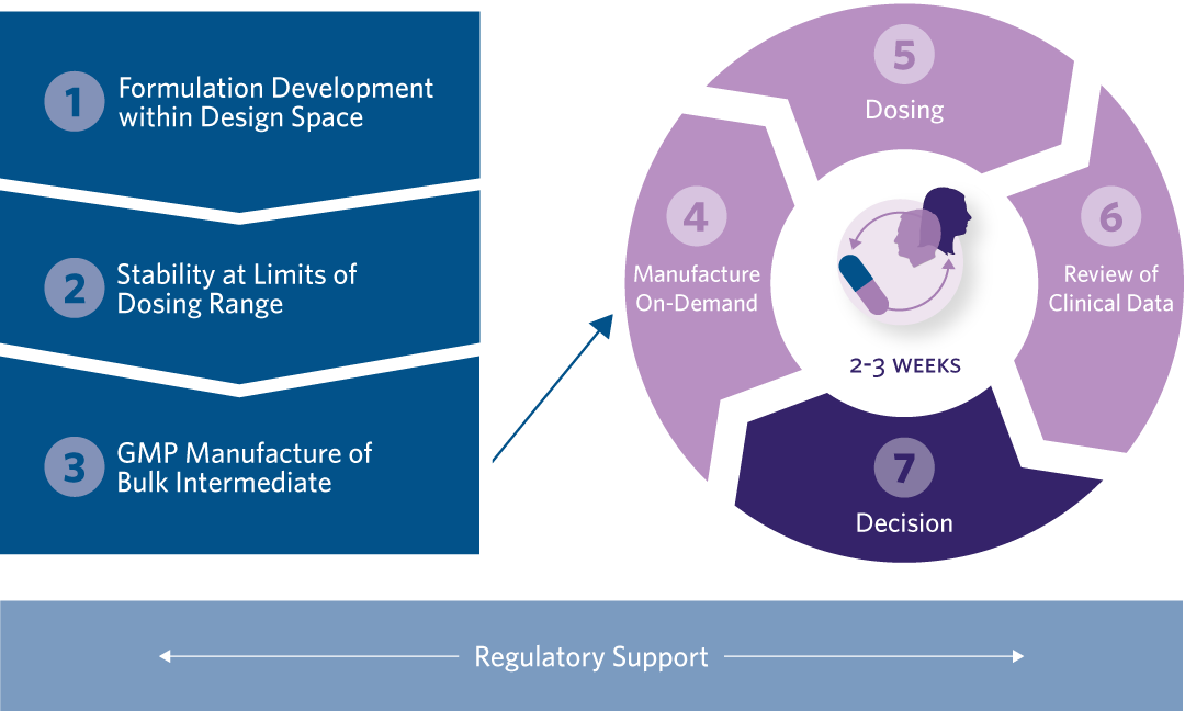 Process_1080x648 Visual Depiction of Xpress Pharmaceutics Process: 1. Formulation Developent, Stability at Limits of Dosing Range, GMP Manufacture of Bulk Intermediate, Manufacturing On Demand, Dosing, Review of Clinical Data, Decison, and Regulatory Support