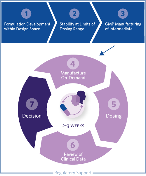 Visual Depiction of Xpress Pharmaceutics Process: 1. Formulation Development within Design Space, Stability at Limits of Dosing Range, GMP Manufacture of Intermediate, Manufacturing On Demand, Dosing, Review of Clinical Data, Decision, and Regulatory Support