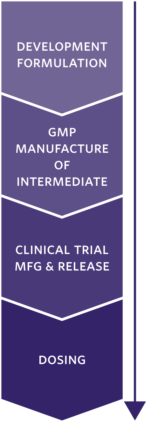 Timeline: Development Formulation, GMP Manufacture of Intermediate, Investigational New Drug Application, Clinical Trial Manufacturing and Release, and Dosing.