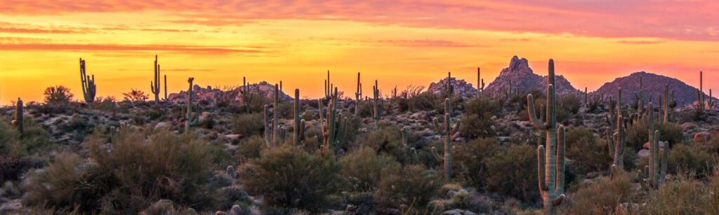 Respiratory Drug Delivery